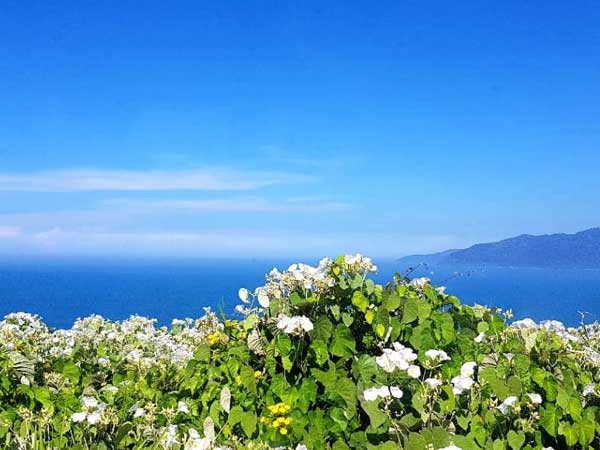 Ảnh bìa bài viết 693856