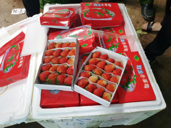 Ảnh bìa bài viết 694946