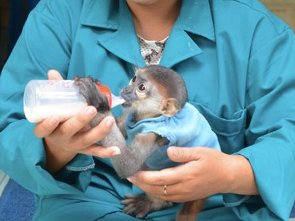 Ảnh bìa bài viết 696169