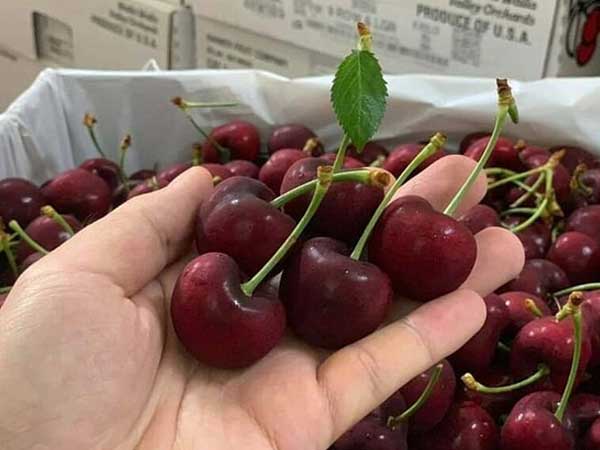 Ảnh bìa bài viết 696469