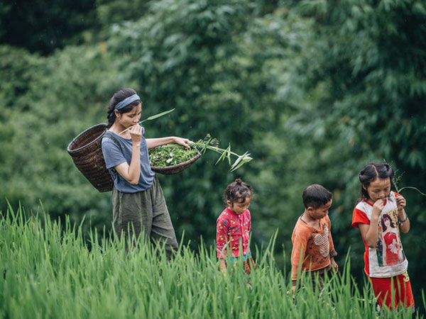 Ảnh bìa bài viết 698476