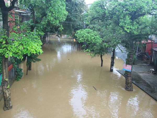 Ảnh bìa bài viết 698883