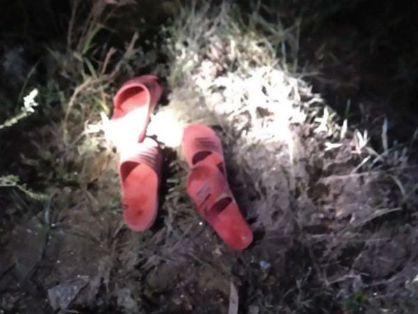 Ảnh bìa bài viết 700106