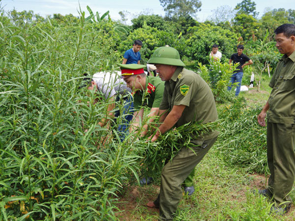 Ảnh bìa bài viết 700678