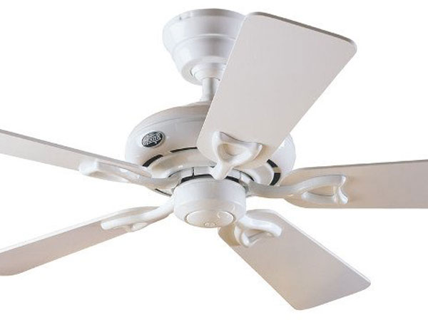 Ảnh bìa bài viết 700890