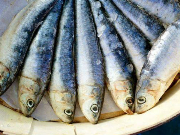 Ảnh bìa bài viết 701603