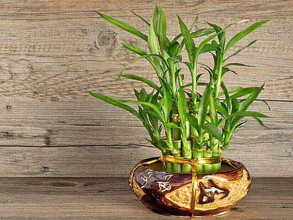 Ảnh bìa bài viết 702421