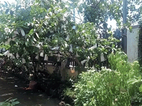 Ảnh bìa bài viết 702686