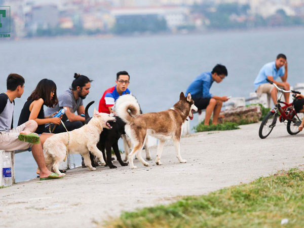 Ảnh bìa bài viết 703199