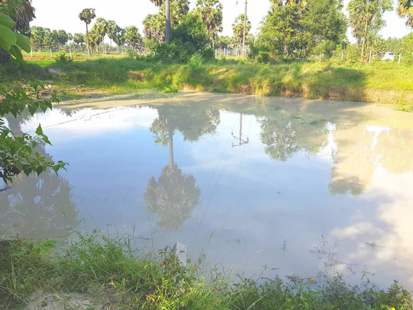 Ảnh bìa bài viết 704223