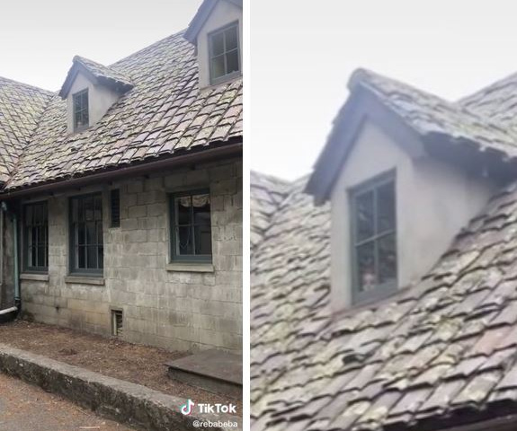 Ảnh bìa bài viết 704116