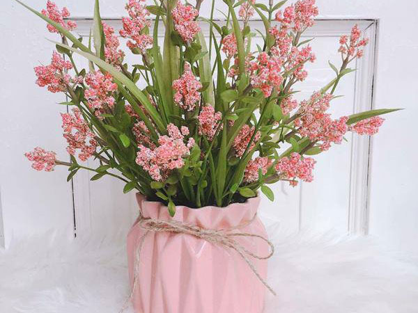 Ảnh bìa bài viết 704241