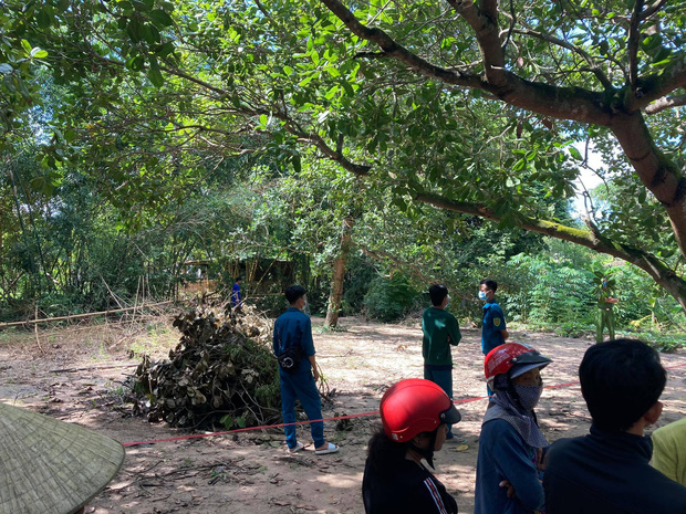 Ảnh bìa bài viết 704602