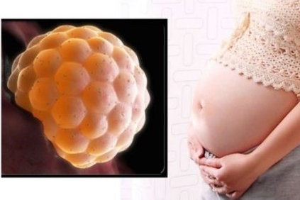 Ảnh bìa bài viết 705868
