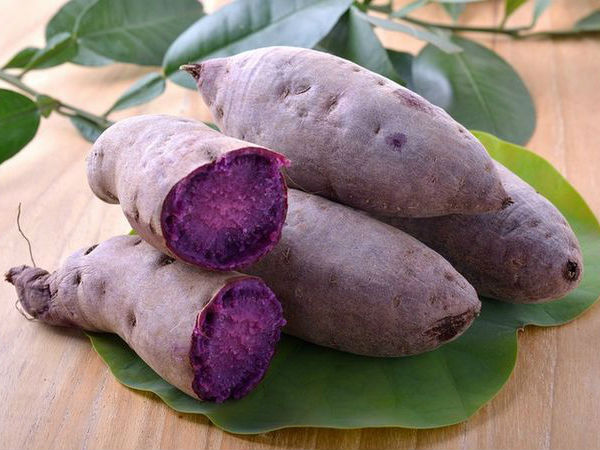 Ảnh bìa bài viết 705762