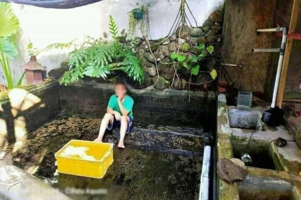 Ảnh bìa bài viết 705697