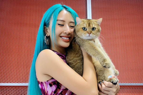 Ảnh bìa bài viết 706255