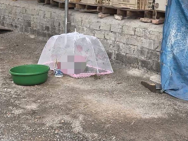 Ảnh bìa bài viết 706514