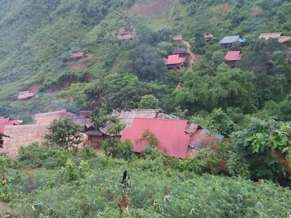 Ảnh bìa bài viết 706909