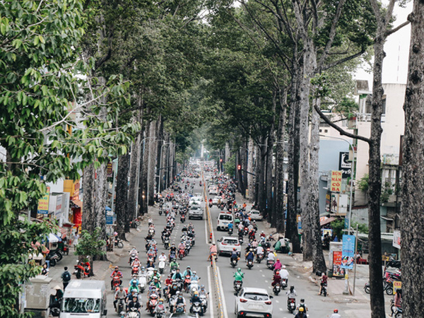 Ảnh bìa bài viết 707216