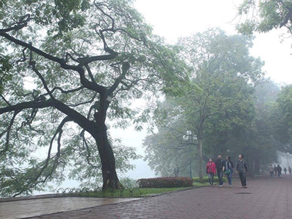 Ảnh bìa bài viết 710276