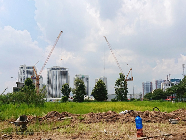 Ảnh bìa bài viết 710858