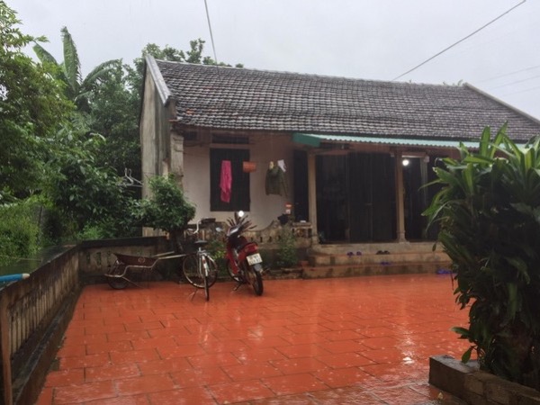 Ảnh bìa bài viết 710944