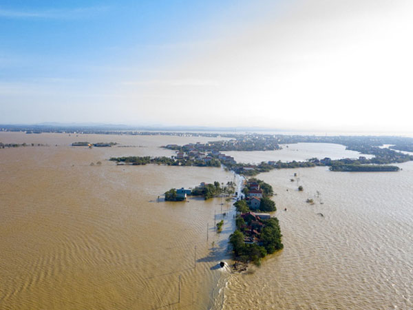 Ảnh bìa bài viết 712659