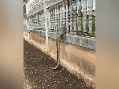 Ảnh bìa bài viết 713049
