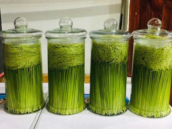 Ảnh bìa bài viết 713250