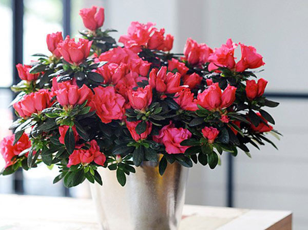 Ảnh bìa bài viết 714197