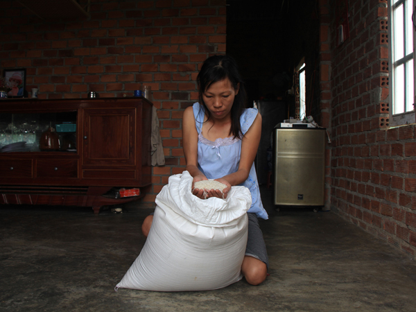 Ảnh bìa bài viết 714986