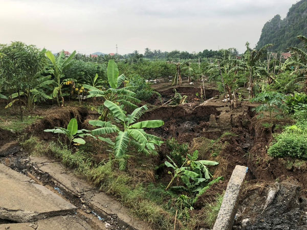 Ảnh bìa bài viết 715345