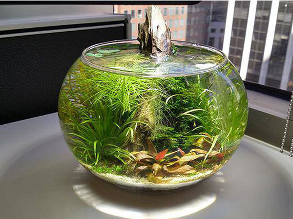 Ảnh bìa bài viết 715750