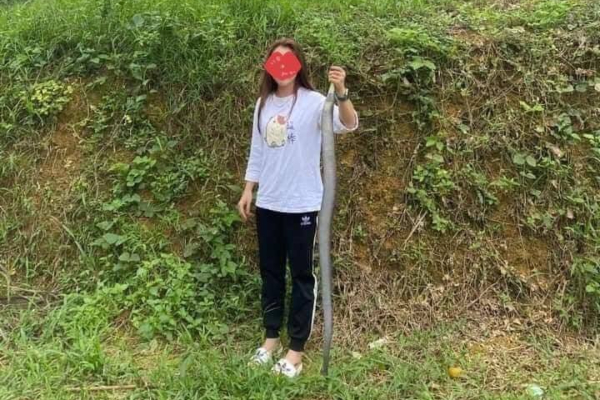 Ảnh bìa bài viết 716974