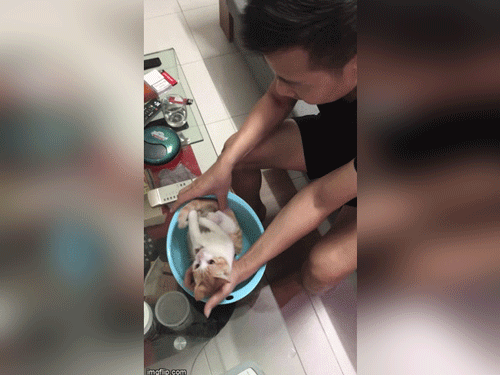 Ảnh bìa bài viết 716827