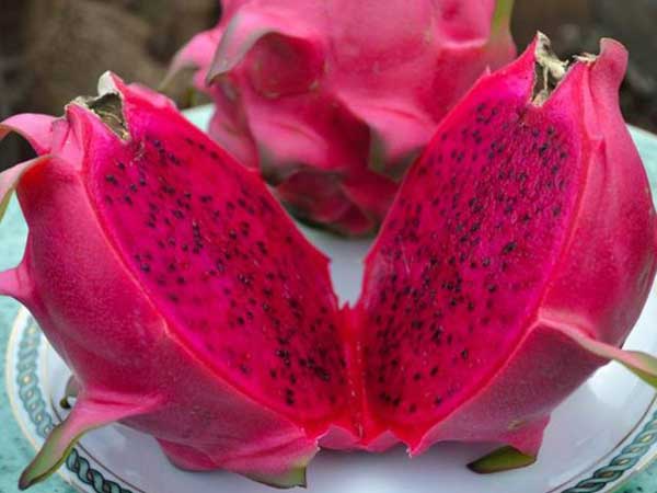 Ảnh bìa bài viết 717996