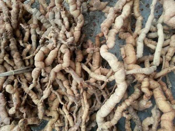 Ảnh bìa bài viết 718466