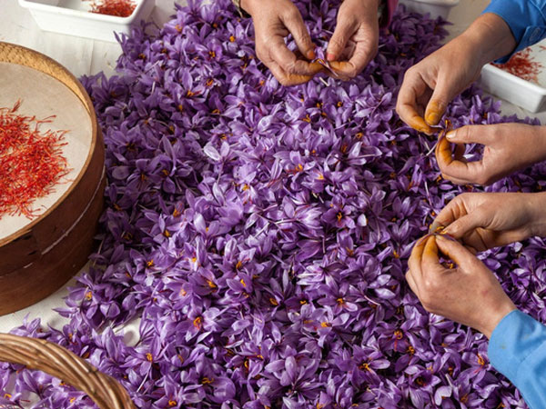 Ảnh bìa bài viết 719208