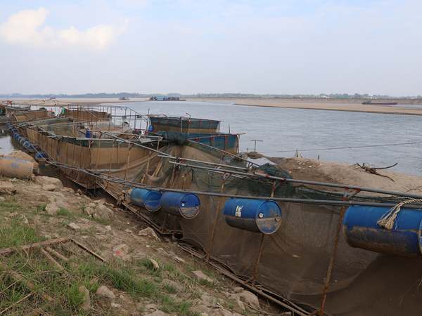 Ảnh bìa bài viết 720118