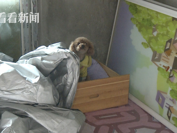 Ảnh bìa bài viết 720683