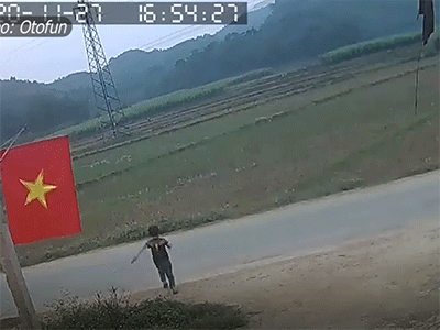 Ảnh bìa bài viết 720925