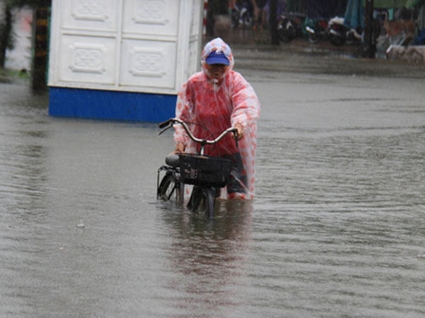 Ảnh bìa bài viết 721313