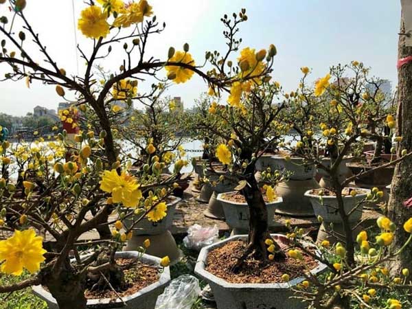 Ảnh bìa bài viết 721390