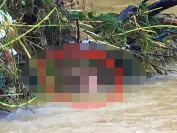 Ảnh bìa bài viết 721439