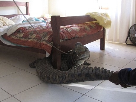 Ảnh bìa bài viết 722226