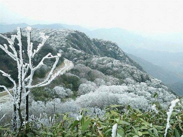 Ảnh bìa bài viết 722243