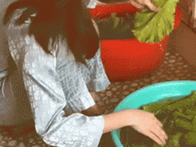 Ảnh bìa bài viết 722533