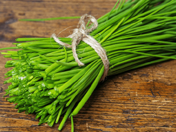 Ảnh bìa bài viết 722833
