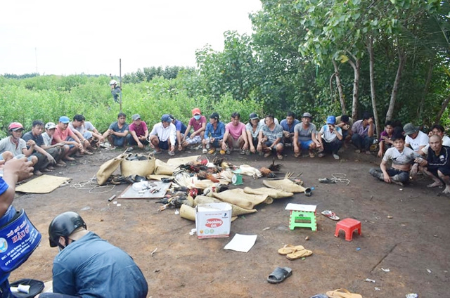 Ảnh bìa bài viết 723652